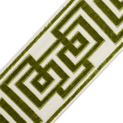 Rhodes Épinglé Velvet Border Trim by Samuel & Sons in Meadow