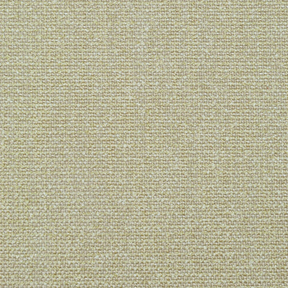 TRH2902 Fabric