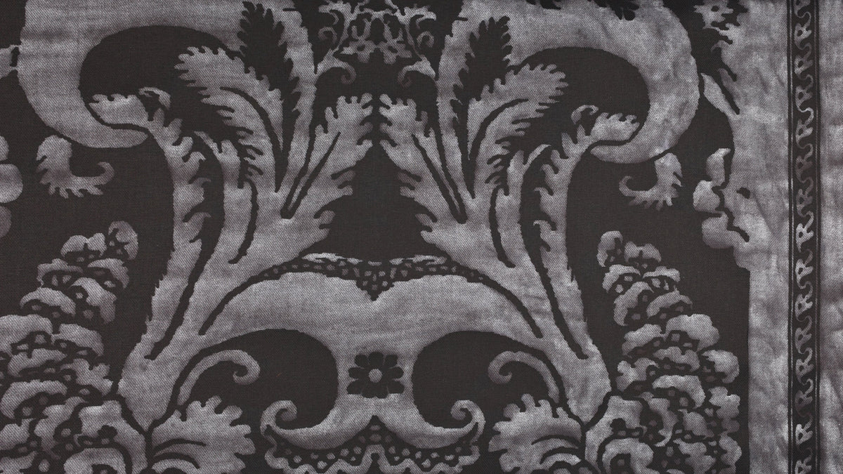 Glicine Fumo nero texture