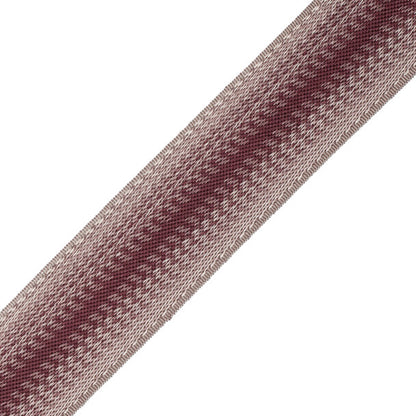 Céline Ombré Border Trim by Samuel & Sons in Fig