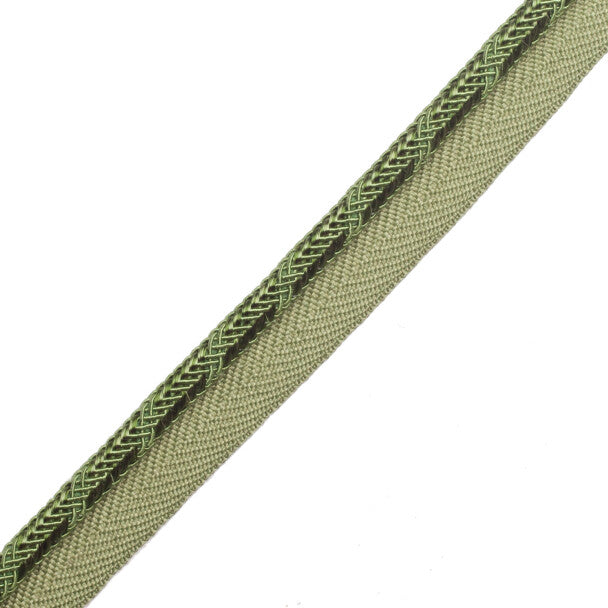 Calisto Cord With Tape Trim by Samuel & Sons in Spearmint