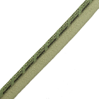 Calisto Cord With Tape Trim by Samuel & Sons in Spearmint