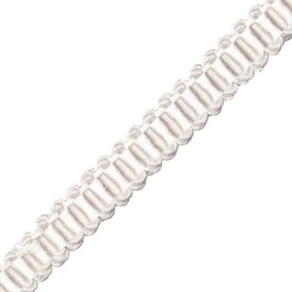 Calisto Gimp Trim by Samuel & Sons in Alabaster
