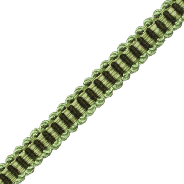 Calisto Gimp Trim by Samuel & Sons in Spearmint