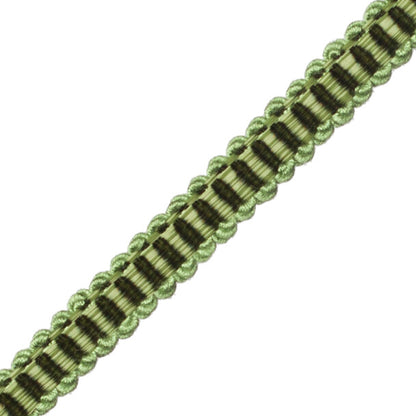 Calisto Gimp Trim by Samuel & Sons in Spearmint