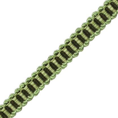 Calisto Gimp Trim by Samuel & Sons in Spearmint