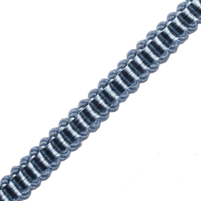 Calisto Gimp Trim by Samuel & Sons in Bleu