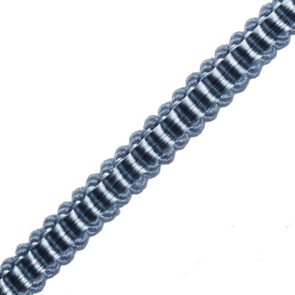 Calisto Gimp Trim by Samuel & Sons in Bleu