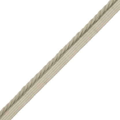 La Terre 5Mm Cord With Tape Trim by Samuel & Sons in Sea Mist