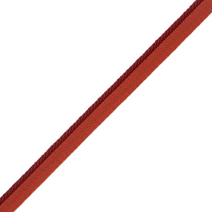 1/8" Saisons Cord With Tape Trim by Samuel & Sons in Boysenberry