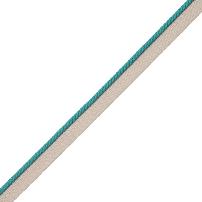 1/8" Saisons Cord With Tape Trim by Samuel & Sons in Capri