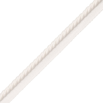 3/8" Saisons Cord With Tape Trim by Samuel & Sons in Saltaire