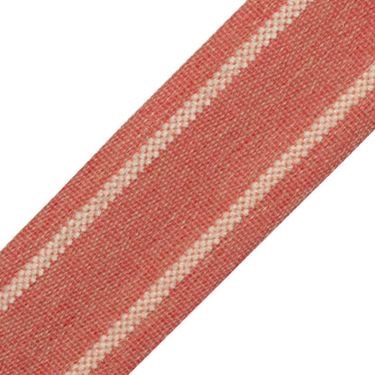 Nantucket Strie Border Trim by Samuel & Sons in Rhubarb