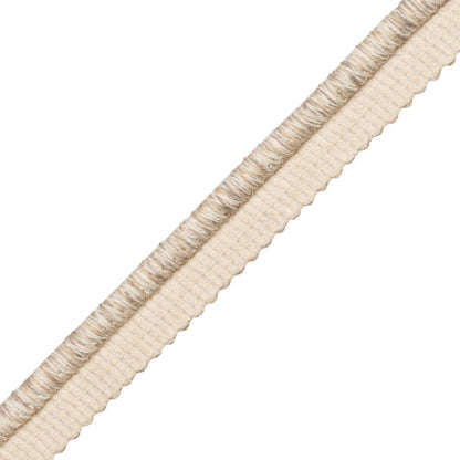 San Marino Cord With Tape Trim by Samuel & Sons in Seashell