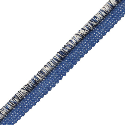 San Marino Cord With Tape Trim by Samuel & Sons in Blue Jay