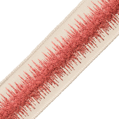 Tenga Embroidered Border Trim by Samuel & Sons in Azalea