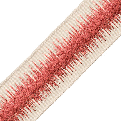 Tenga Embroidered Border Trim by Samuel & Sons in Azalea