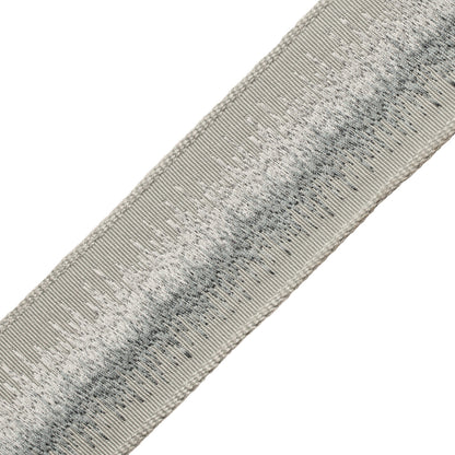 Tenga Embroidered Border Trim by Samuel & Sons in Glass