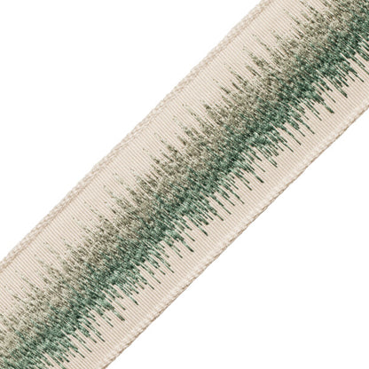 Tenga Embroidered Border Trim by Samuel & Sons in Jade