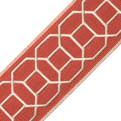 Sakiori Embroidered Border Trim by Samuel & Sons in Sienna