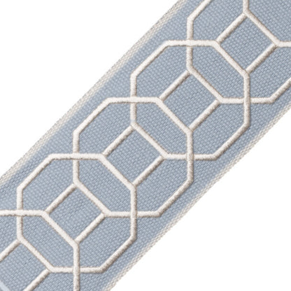 Sakiori Embroidered Border Trim by Samuel & Sons in Porcelain
