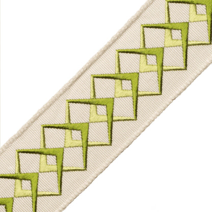 Heko Embroidered Border Trim by Samuel & Sons in Bamboo