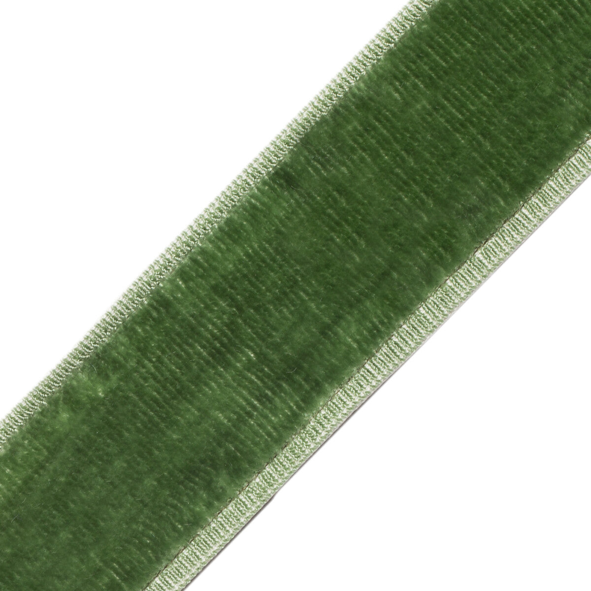 Sloane Velvet Border Trim by Samuel & Sons in Basil