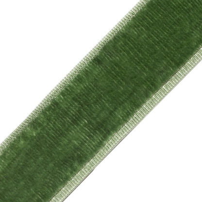 Sloane Velvet Border Trim by Samuel & Sons in Basil