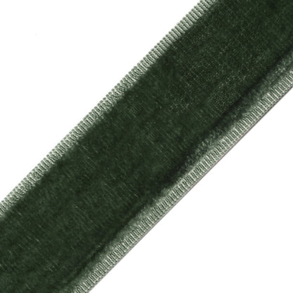 Sloane Velvet Border Trim by Samuel & Sons in Spearmint