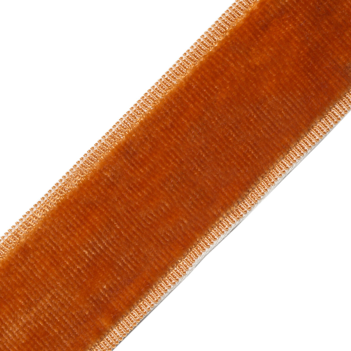 Sloane Velvet Border Trim by Samuel & Sons in Apricot