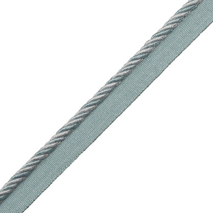 Loire Cord With Tape Trim by Samuel & Sons in Wedgewood