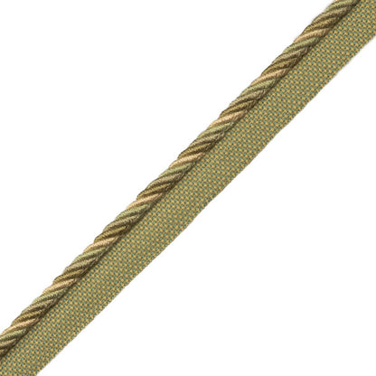 Loire Cord With Tape Trim by Samuel & Sons in Vert De Terre