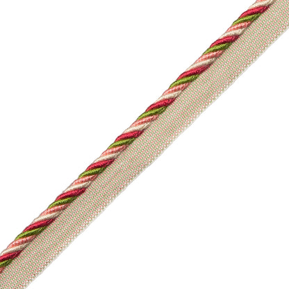 Loire Cord With Tape Trim by Samuel & Sons in Fleur