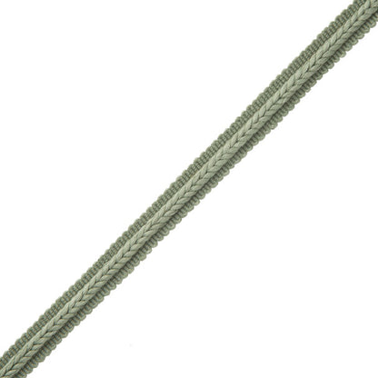 Flanders Gimp Trim by Samuel & Sons in Celadon