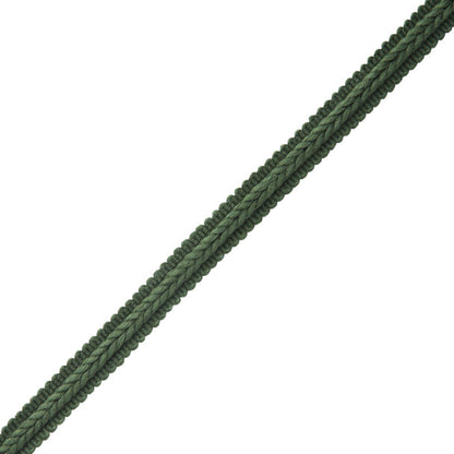 Flanders Gimp Trim by Samuel & Sons in Kale