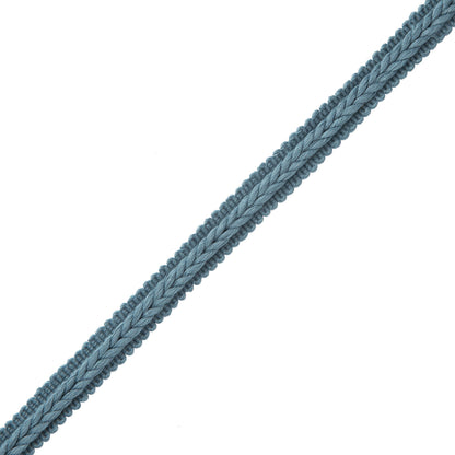 Flanders Gimp Trim by Samuel & Sons in Wedgewood