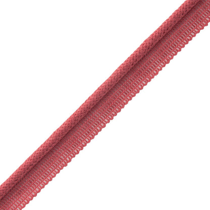 Flanders Cord With Tape Trim by Samuel & Sons in Raspberry