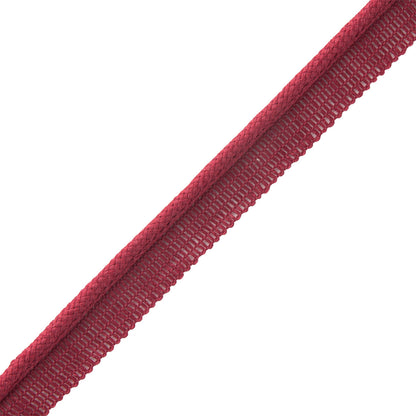 Flanders Cord With Tape Trim by Samuel & Sons in Cranberry