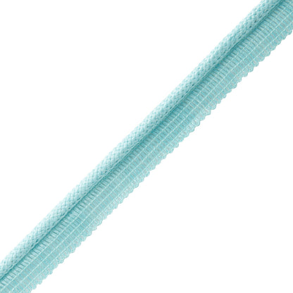 Flanders Cord With Tape Trim by Samuel & Sons in Capri