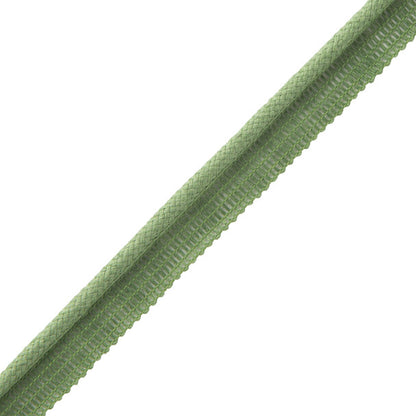 Flanders Cord With Tape Trim by Samuel & Sons in Leaf