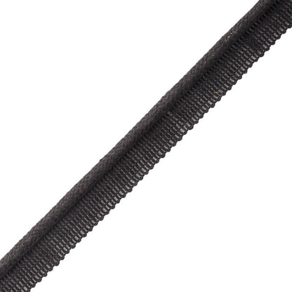 Flanders Cord With Tape Trim by Samuel & Sons in Onyx