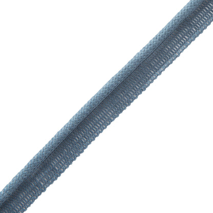 Flanders Cord With Tape Trim by Samuel & Sons in Polaris Blue