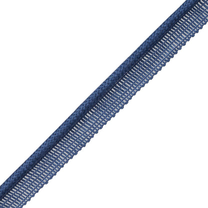 Flanders Cord With Tape Trim by Samuel & Sons in Blueberry