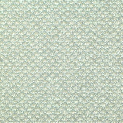 TRH2970 Fabric