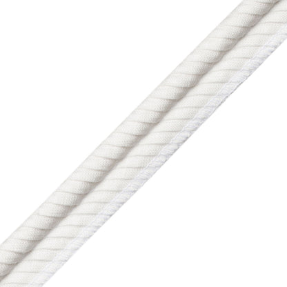 Christian Pleated Piping Trim by Samuel & Sons in Drift