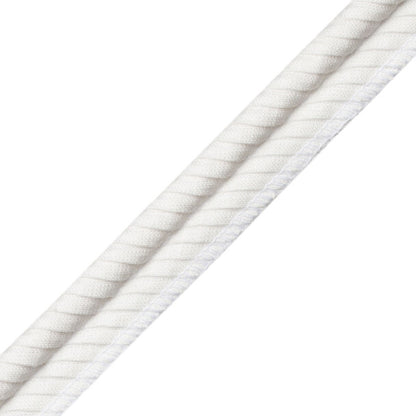 Christian Pleated Piping Trim by Samuel & Sons in Drift