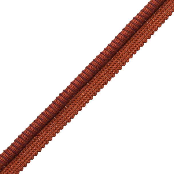 Lazo Cord With Tape Trim by Samuel & Sons in Terra