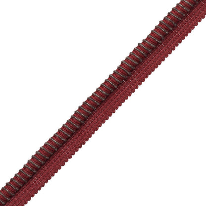 Lazo Cord With Tape Trim by Samuel & Sons in Cochineal