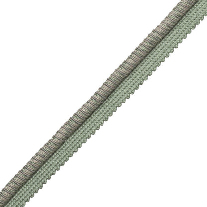 Lazo Cord With Tape Trim by Samuel & Sons in Cielo