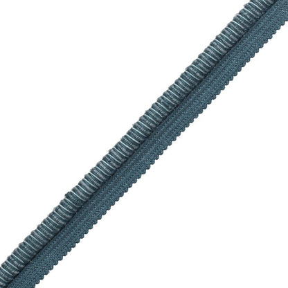 Lazo Cord With Tape Trim by Samuel & Sons in Cenote